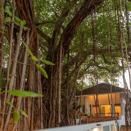 White Banyan Beach Villa, Candolim By The Acacia Villas Eksteriør bilde