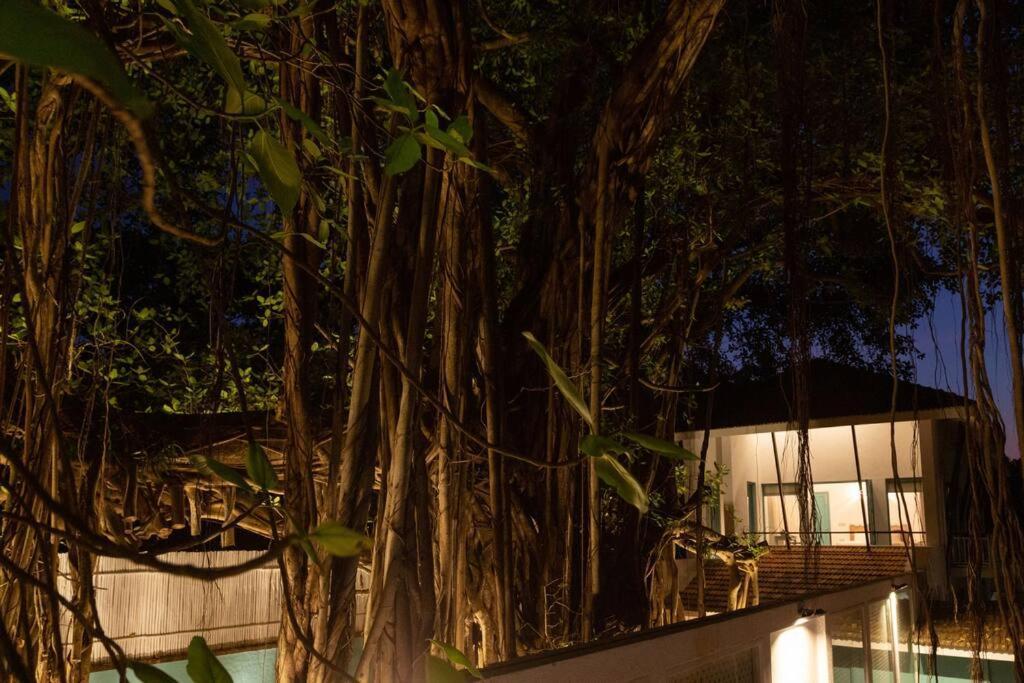 White Banyan Beach Villa, Candolim By The Acacia Villas Eksteriør bilde