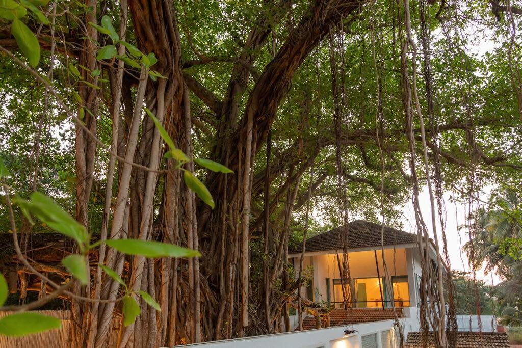 White Banyan Beach Villa, Candolim By The Acacia Villas Eksteriør bilde